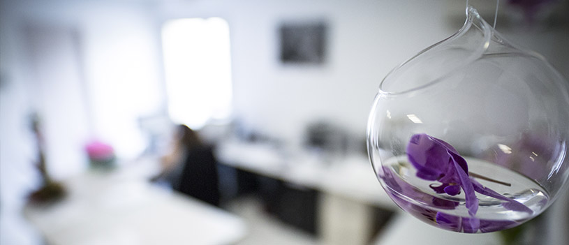 laboratoire-insphy-service-commercial laboratoire-insphy-service-commercial